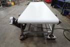 Transfer Conveyor